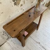 Established XS in cherry tree