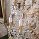 Girandole in gilded bronze and glass pendants
