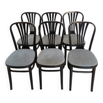 Lot de 6 chaises de salle à manger vintage en bois noir par STOL Kamnik, années 1970