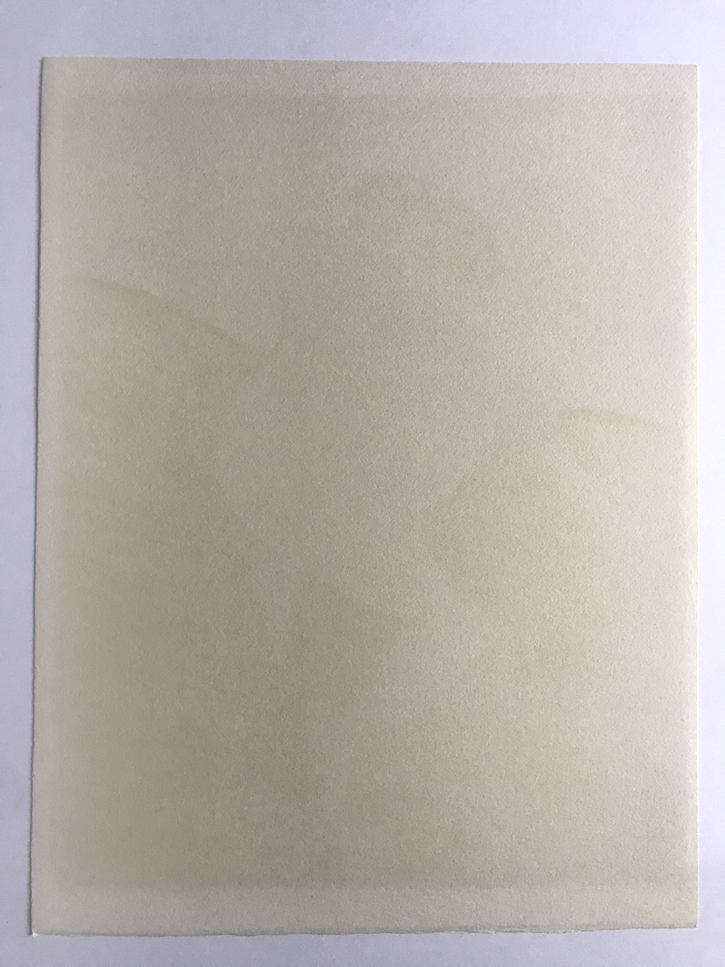 Pierre BONCOMPAIN, Terrestrial foods XXI, 1990. Original lithograph