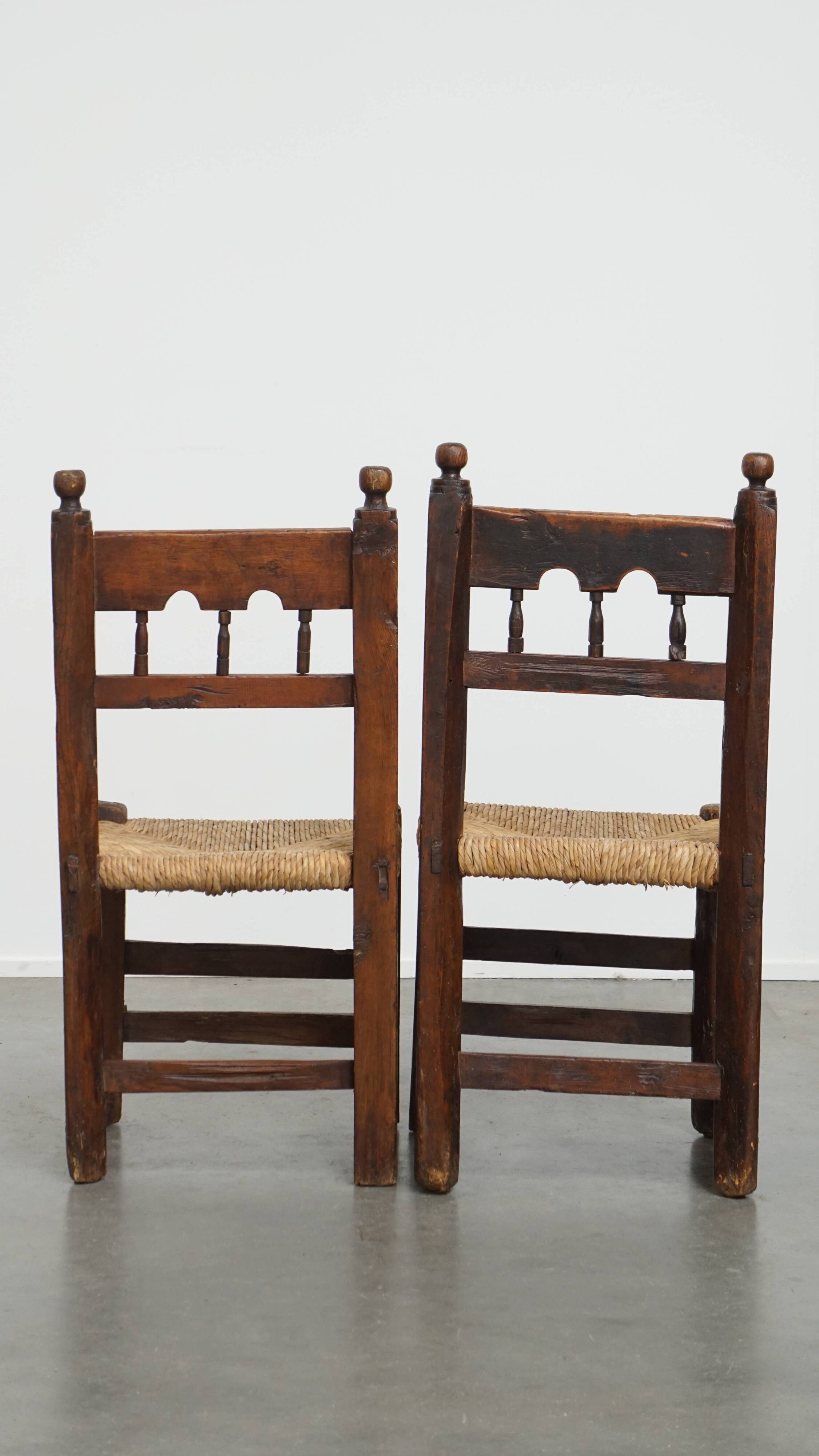 Antique Spanish Country Chairs with Woven Rush Seats