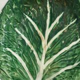 Large cabbage leaf plate Gerber – French barbotine – decorative piece