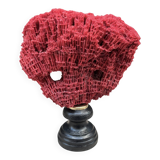 Antique red coral organ Tubipora musica on a wooden base, late 19th century