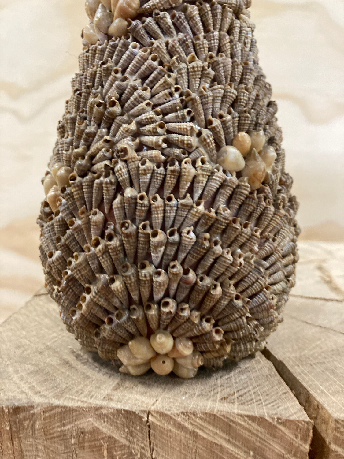 Vase coquillages vintage
