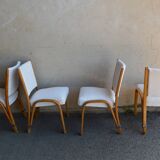 Chaises Steiner