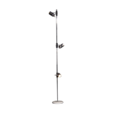 Floor lamp by Goffredo Reggiani for Francesco Fois