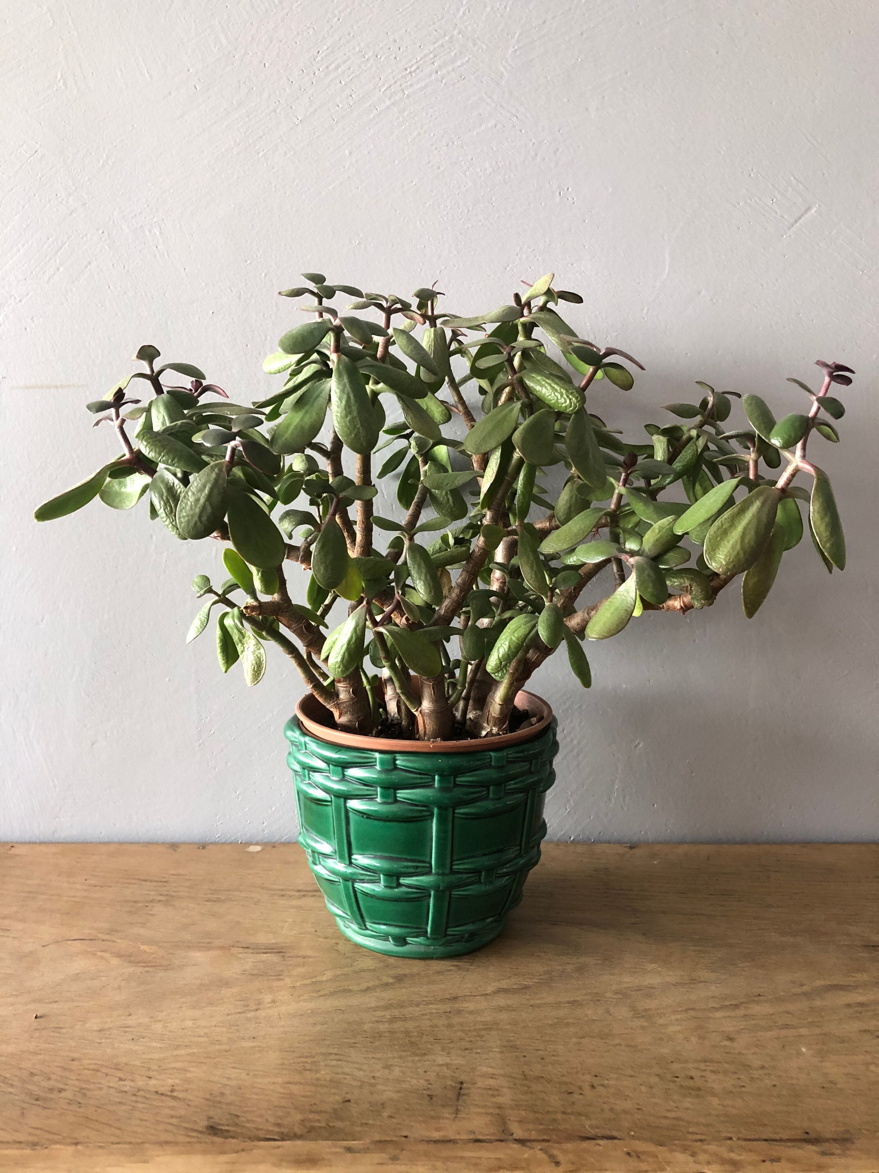 Saint Clement ceramic pot cache