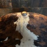 Vintage chair cowhide