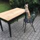 Table à manger début XXème