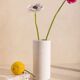André vase in white concrete