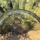 2 Sunflower Oil Plates Lesueur