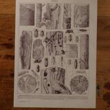 Original lithographs on trees