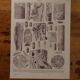 Original lithographs on trees