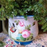 Napoleon iii planter