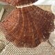 Rattan shell box