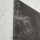 Old XXL black and white tree photograph