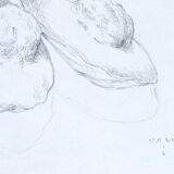 Madeleines, dessin original