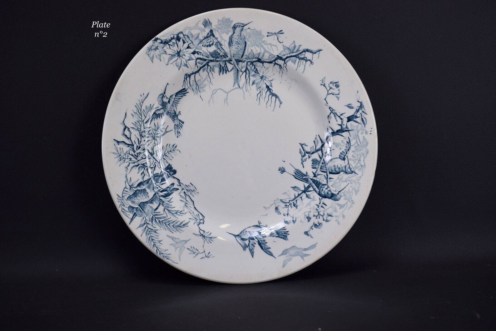 Plate colibri luneville in faience white and blue