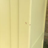 Parisian yellow wooden wardrobe