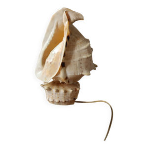 lampe coquillage