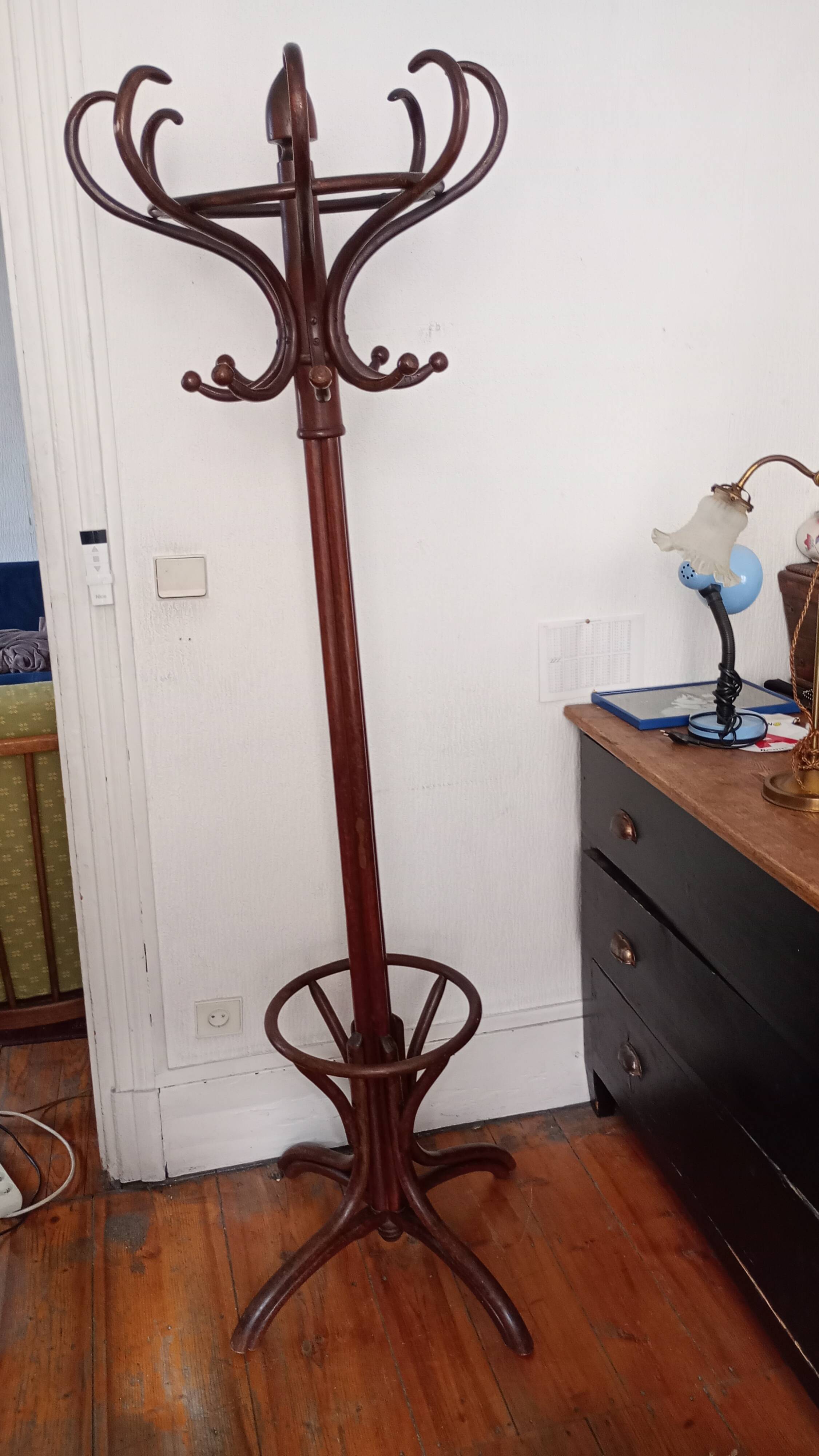 Old parrot coat rack