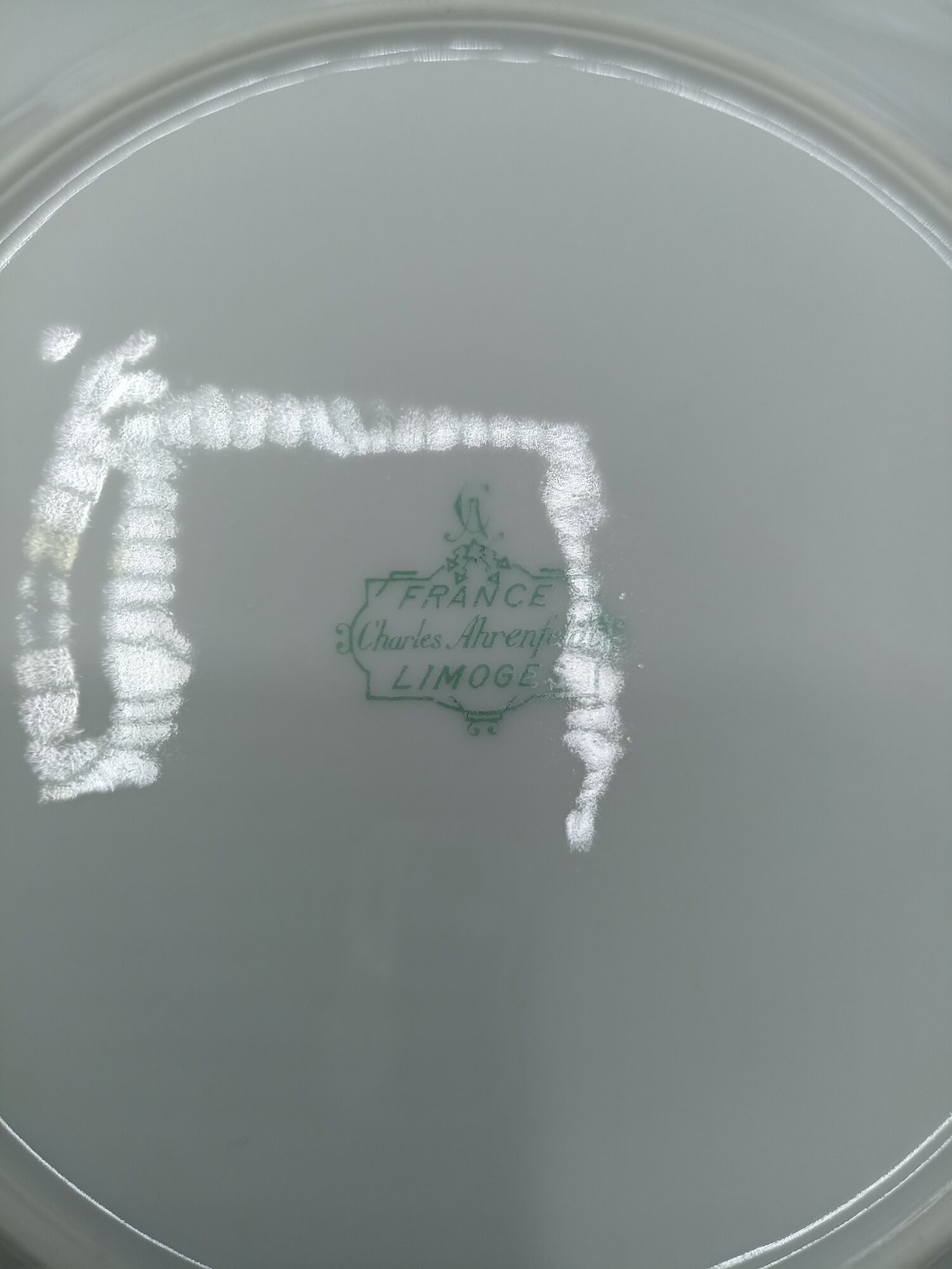 Set of 10 plates Ch. Ahrenfeldt Limoges