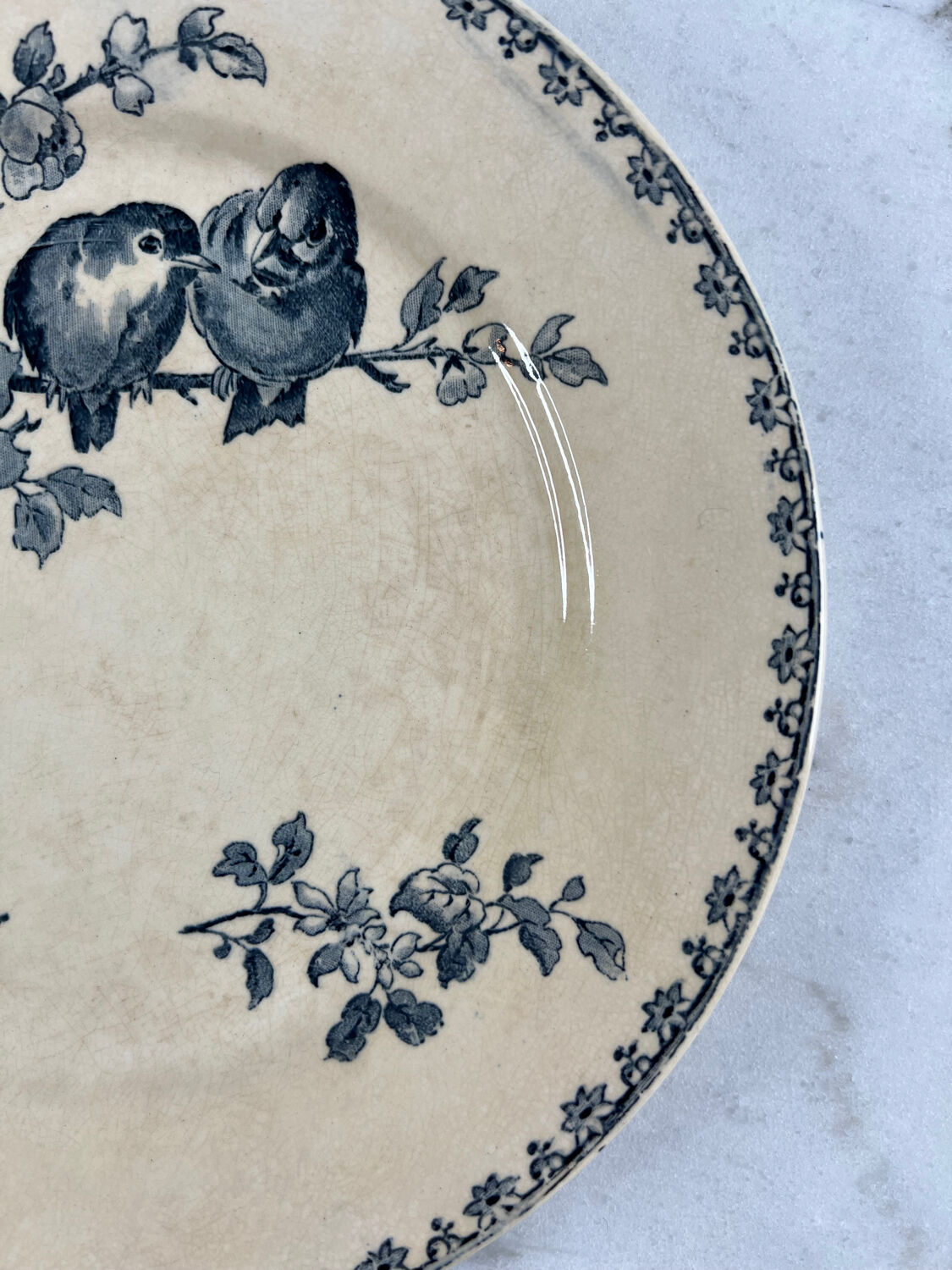 Iron earth plate Sarreguemines favourite