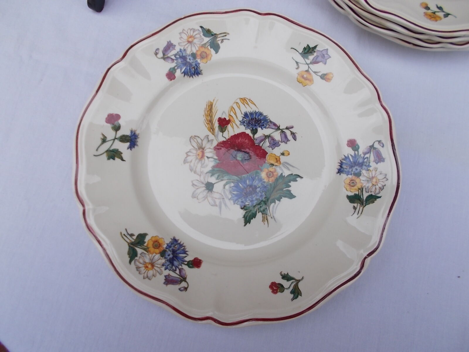 Lot de 5 assiettes plates Sarreguemines modèles Agreste