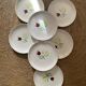 7 crocus dessert plates from Salins.
