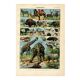 Old engraving from 1923 - Mammals of the world by A. Millot - Illustration