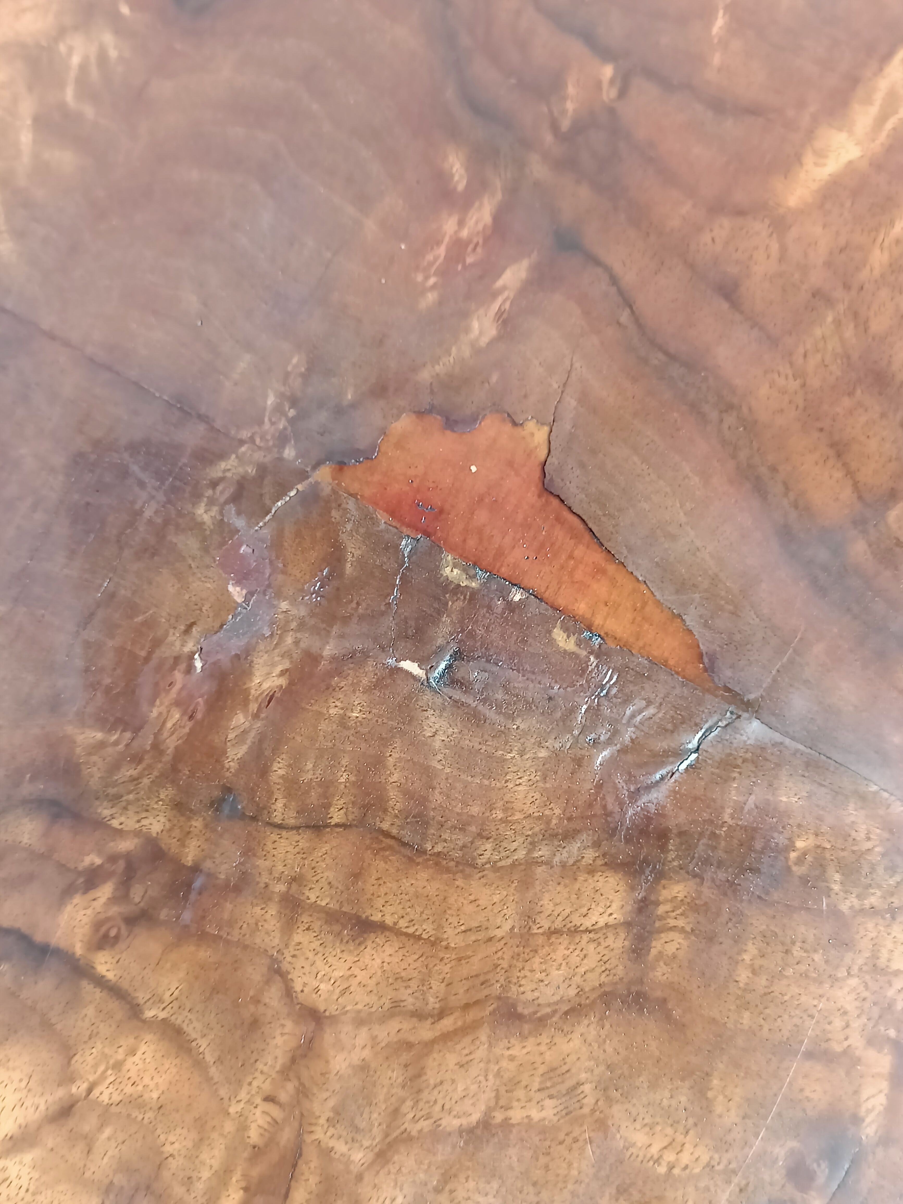 Art Deco walnut pedestal table