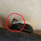 Rare Pair of "Tonneau" Chairs in Aluminium by Pierre Guariche (1954)