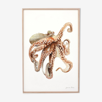 "Ali", the octopus, art print 21/29.7 cm