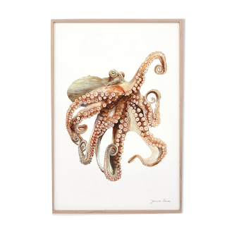 "Ali", the octopus, art print 21/29.7 cm