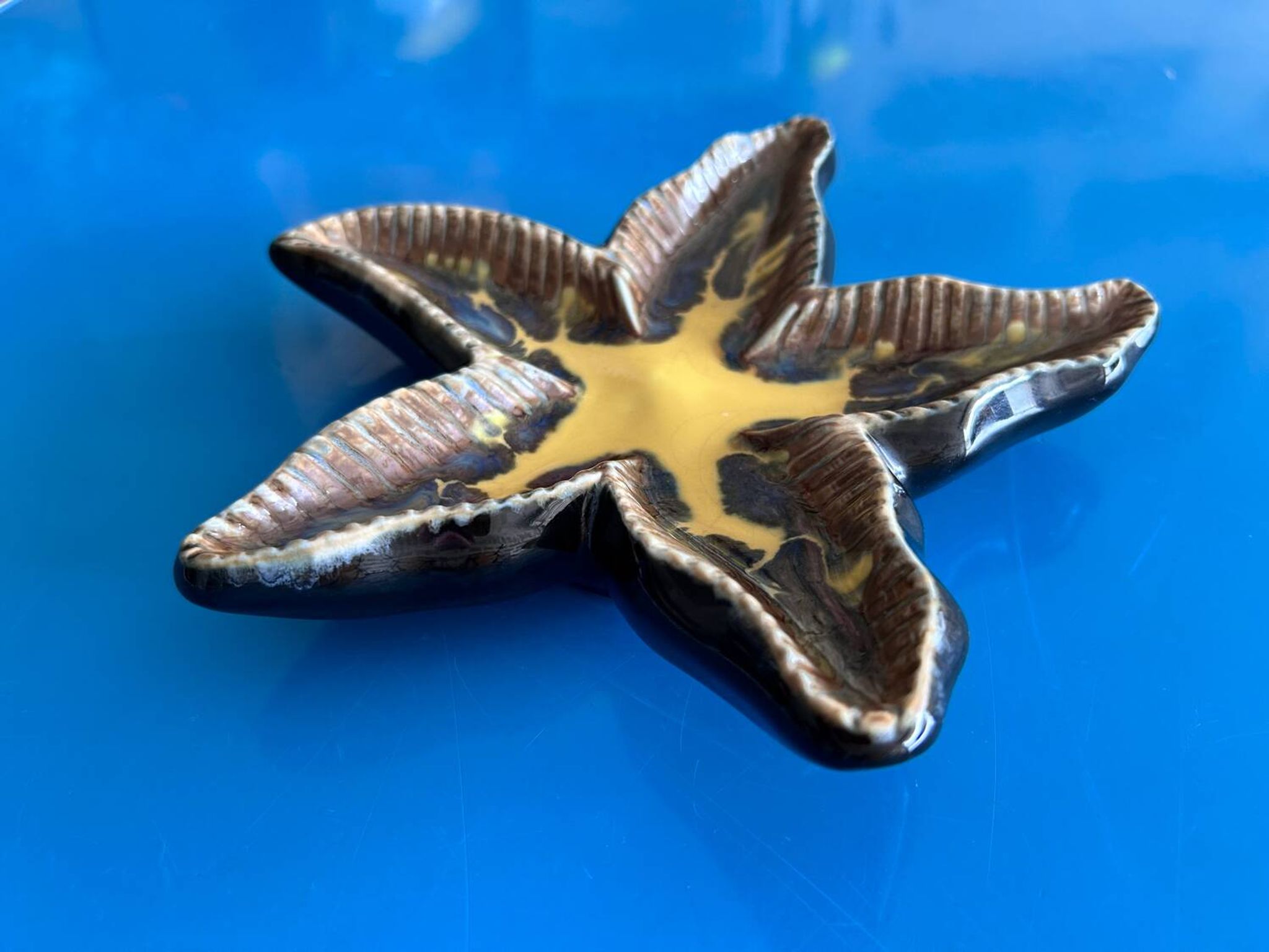 Ceramic starfish