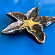 Ceramic starfish