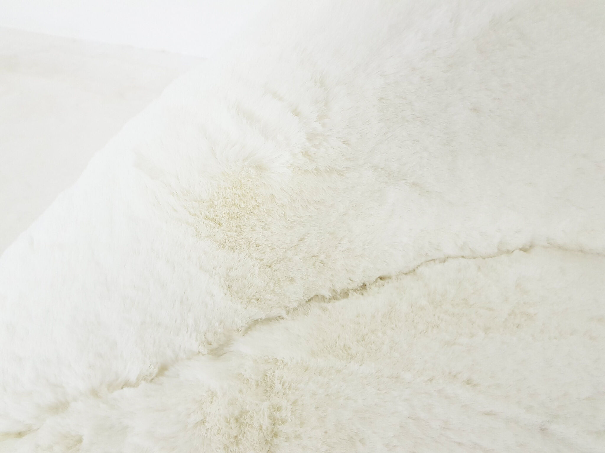 Hartmut Lohmeyer for Artifort lounge chair Model 118 "Columbus", The Netherlands 1957