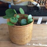 Wicker basket
