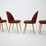 1960s Antonin Suman set of four dining chairs, Czechoslovakia