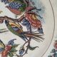 Assiette vintage Villeroy & Boch modèle Rouen
