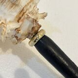 Antique Murex Ramosus Shell on a turned wooden base Napoleon III 19th century