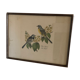 Gravure sous verre deux oiseaux wagtail