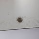 Vintage 1940s Italian design wall mirror with decorated glass