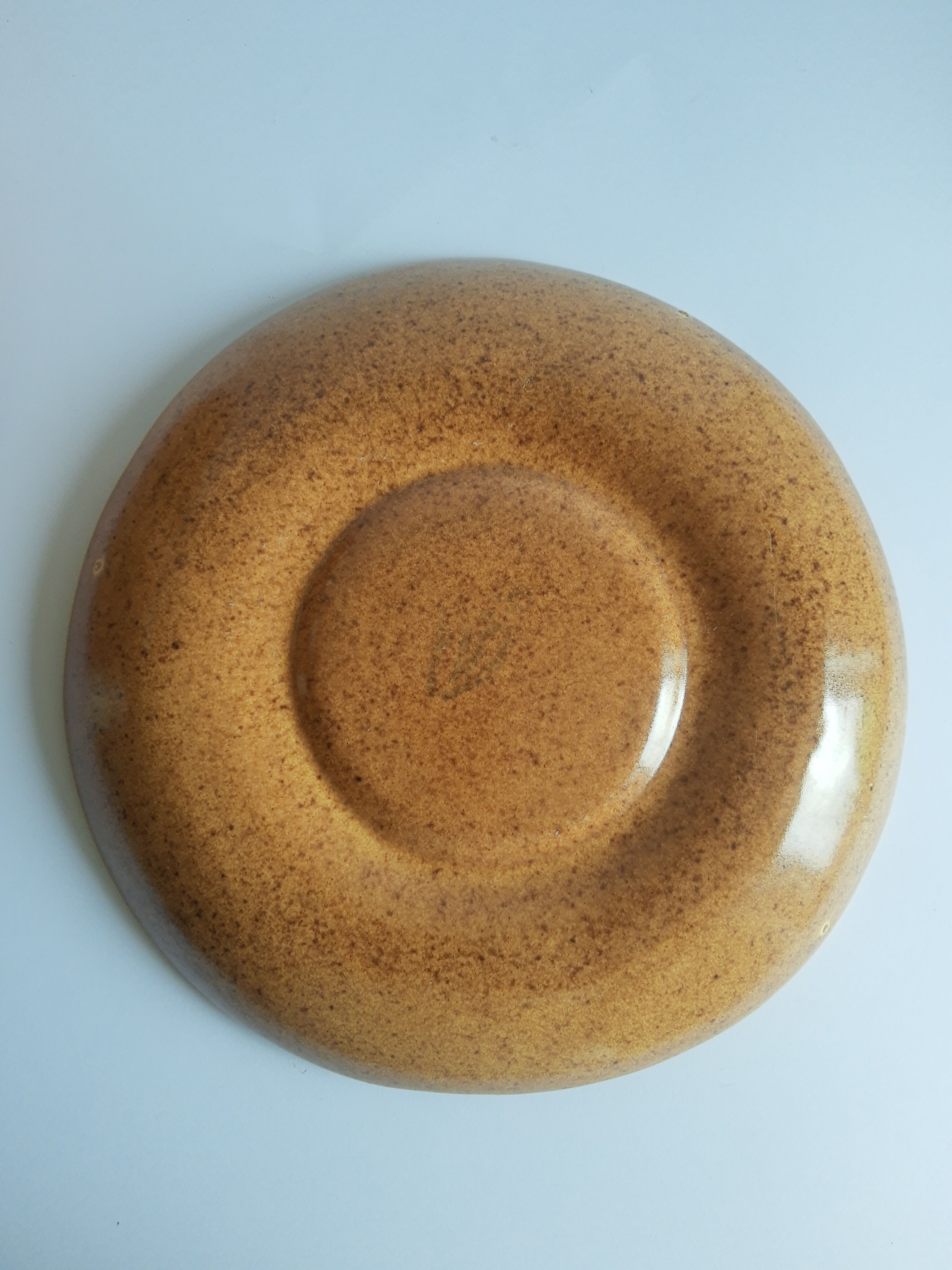 Set of 5 plates with compartments in vintage Longchamp sandstone