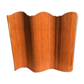 Screen SNSA 50s
