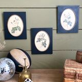 Set of three frames medallions