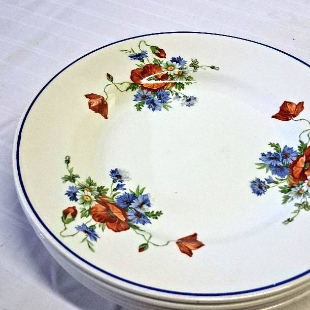 6 flat plates from Salins les Bains, "Poppies" pattern, in very good condition