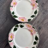 Villeroy & Boch dessert plates