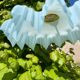 Lustre vintage opaline bleu