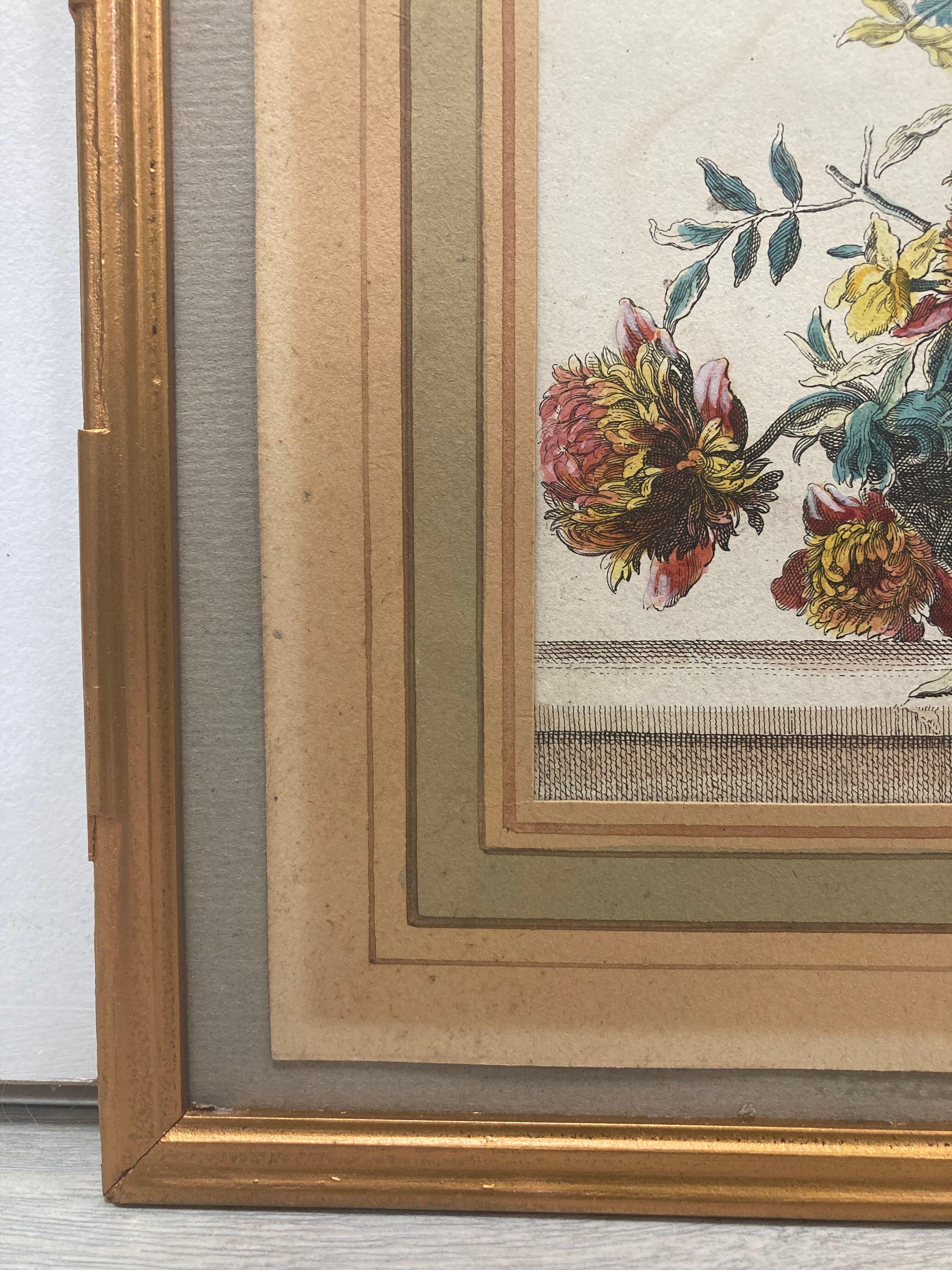 Pair of framed botanical boards